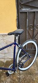 Bicicletta