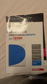 LINEAMENTI DI MATEMATICA AZZURRO 5