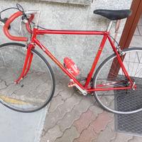 COLNAGO SUPER ASSO DI FIORI