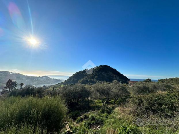 TER. AGRICOLO A BORDIGHERA