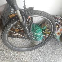 Bici bottecchia