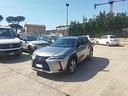 lexus-ux-250h-2-0cc-hybrid-business-152cv-safety