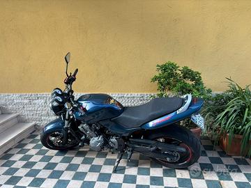 HORNET 600