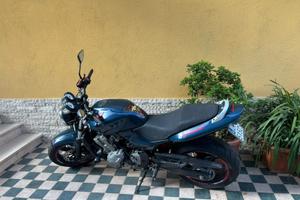 HORNET 600