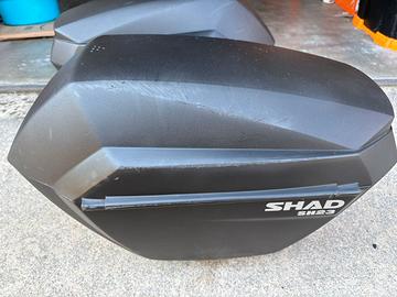 Valigie laterali e supporti SHAD Benelli TRK 502X