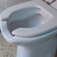 Vaso WC per disabilità Ponte Giulio