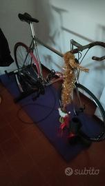 bici da corsa d'accordi mitico