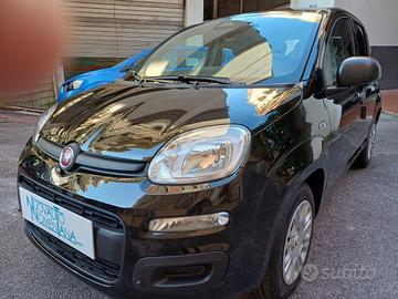 FIAT Panda 1.0 FireFly S&S Hybrid Icon 5°Posto A