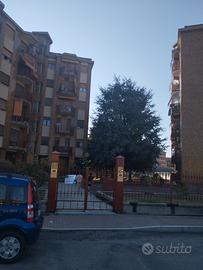 Ampio alloggio Moncalieri