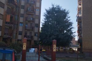 Ampio alloggio Moncalieri