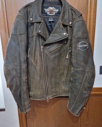 Giacca harley
