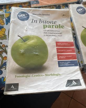 LIBRO DI GRAMMATICA VALIDO PER TUTTI E 3 GLI ANNI
