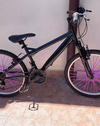 Bicicletta
