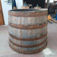 tino in legno di rovere