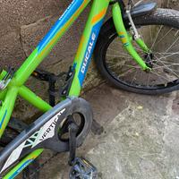 Bici bimbo 5/9 anni