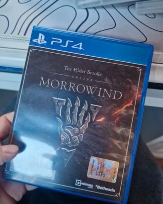 Gioco Ps4