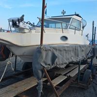 saver 21 cabin fisch 