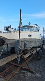 saver 21 cabin fisch 