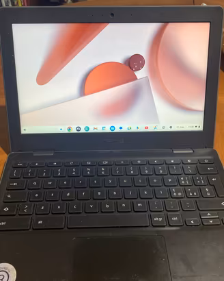 Asus Chromebook c204