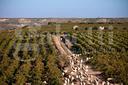 villa-singola-marsala-007-25vrg-