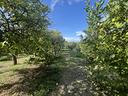 terreno-residenziale-barcellona-pozzo-di-gotto