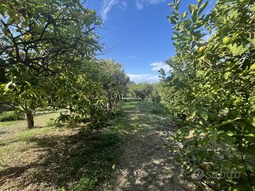Terreno Residenziale Barcellona Pozzo di Gotto