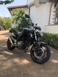 Suzuki Gladius 650