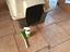 Immagine 4