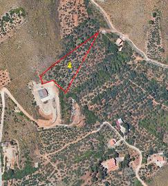 Terreno agricolo 4500 mq