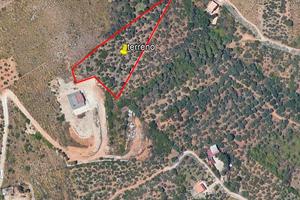 Terreno agricolo 4500 mq