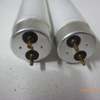 2 lampade per zanzariera