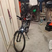 bicicletta  pedalata assistita 