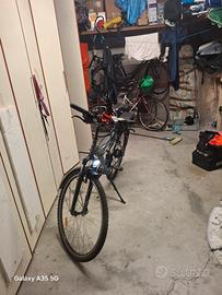 bicicletta  pedalata assistita 