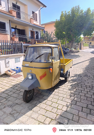 Ape p501
