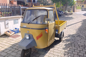 Ape p501