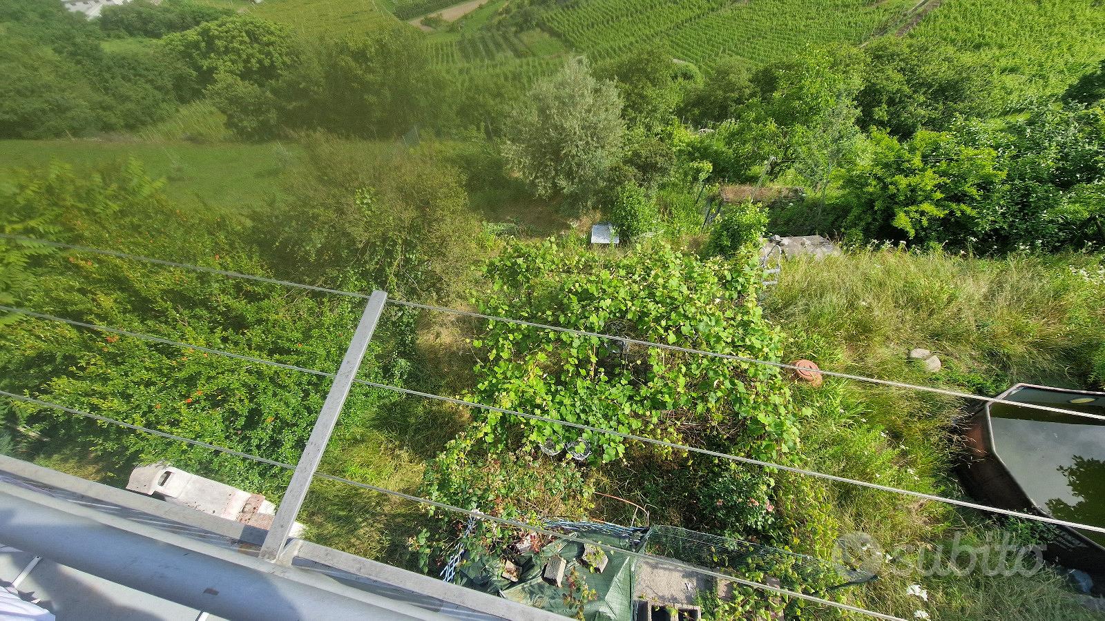 Tresivio grande appartamento con giardino - Vista 4