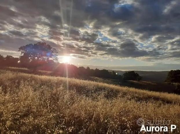 Terreno Agricolo Biologico con Annesso