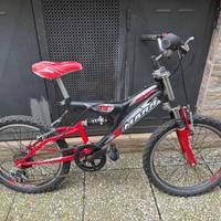 Bicicletta