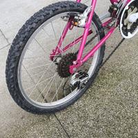 Bici bambino/bambina MTB ruota 20