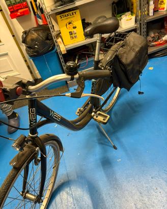 Bicicletta  WEG