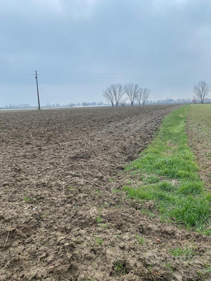 Terreno agricolo - Vista 3