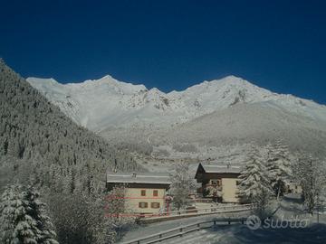 Capodanno /epifania sulla neve