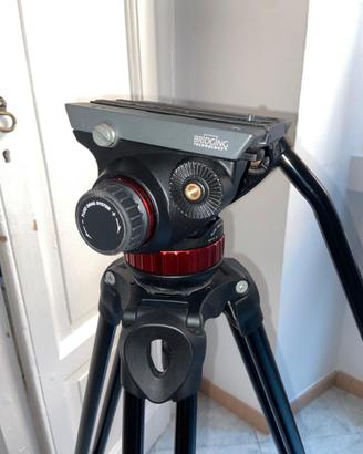 Treppiede Manfrotto con testina fluida mvh502ah