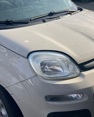 Ricambi Fiat Panda 2016/17