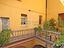 Immagine 7