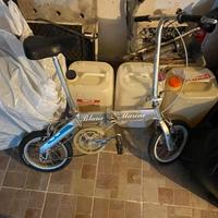 Bicicletta pieghevole da passeggio