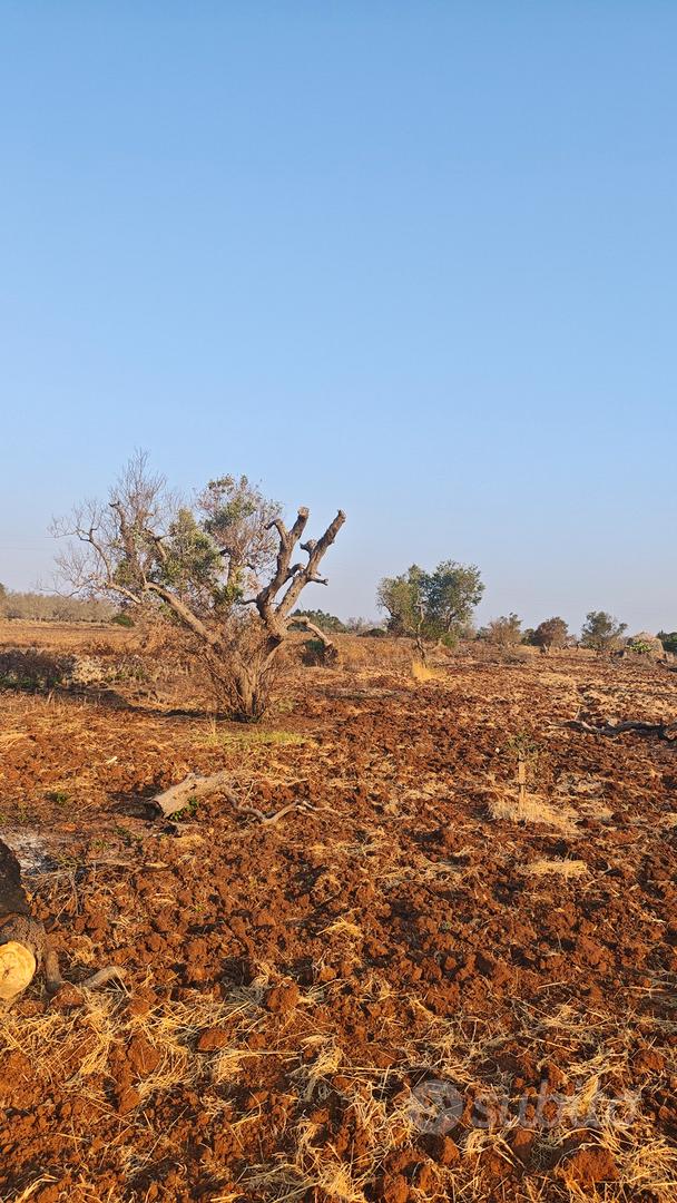Terreno agricolo in Lequile edificabile - Vista 4