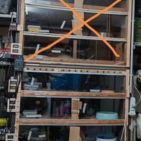 teche/rack per rettili/serpenti 