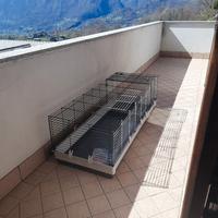 Gabbia per conigli