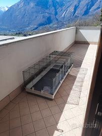 Gabbia per conigli